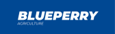 Blueperry logo