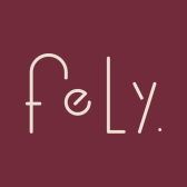 FELY LLC