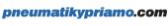 Pneumatikypriamo SK logo