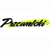 Przewalski: 2 for 15% Off